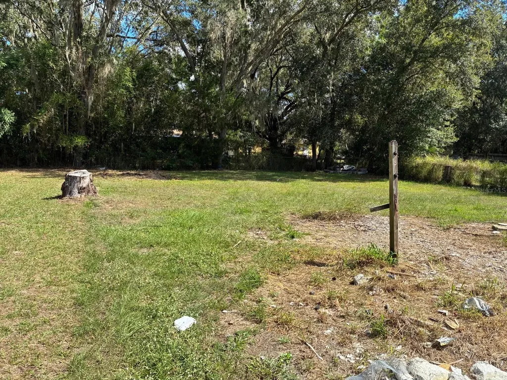 1008 Nebraska Street Leesburg FL 34748
