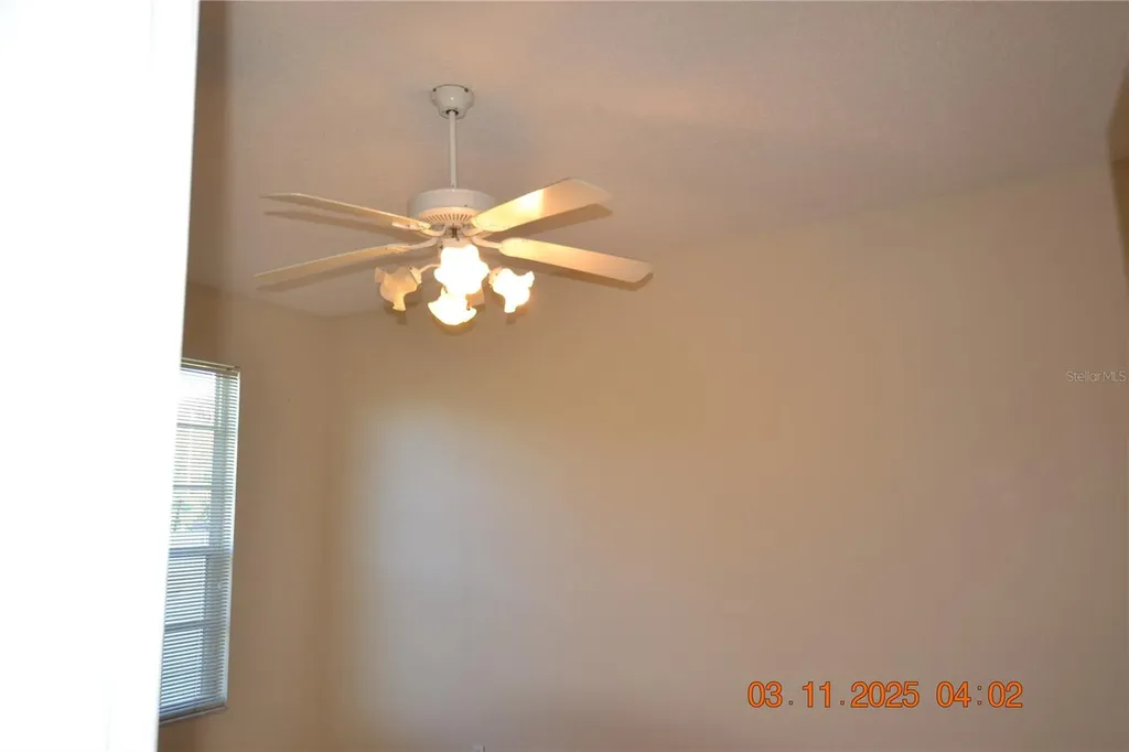 204 Hemingway Drive Oldsmar FL 34677