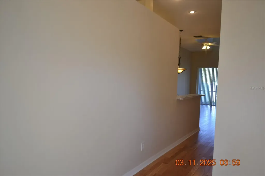204 Hemingway Drive Oldsmar FL 34677