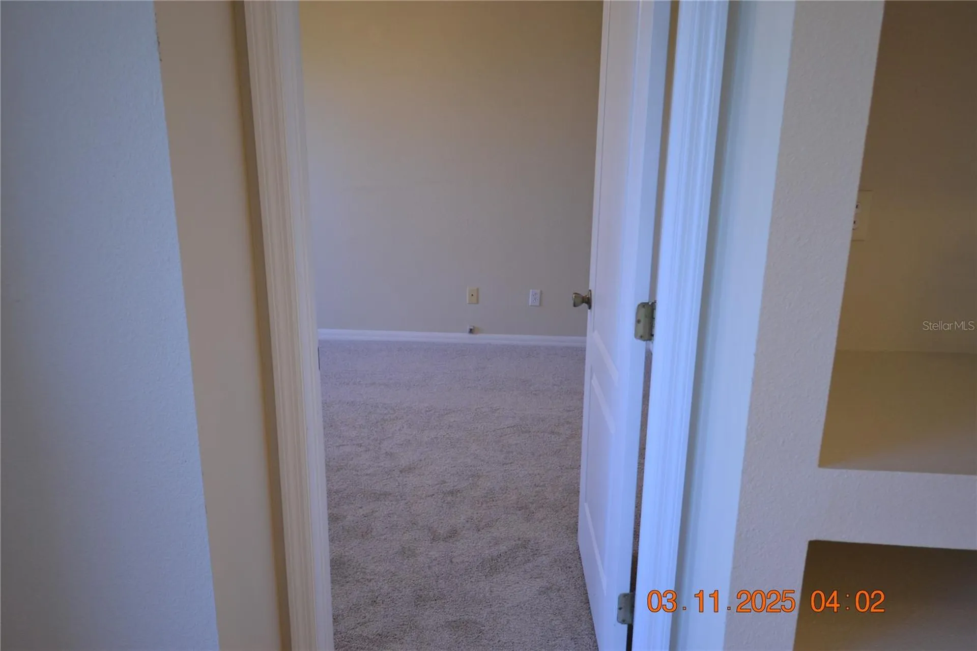 204 Hemingway Drive Oldsmar FL 34677