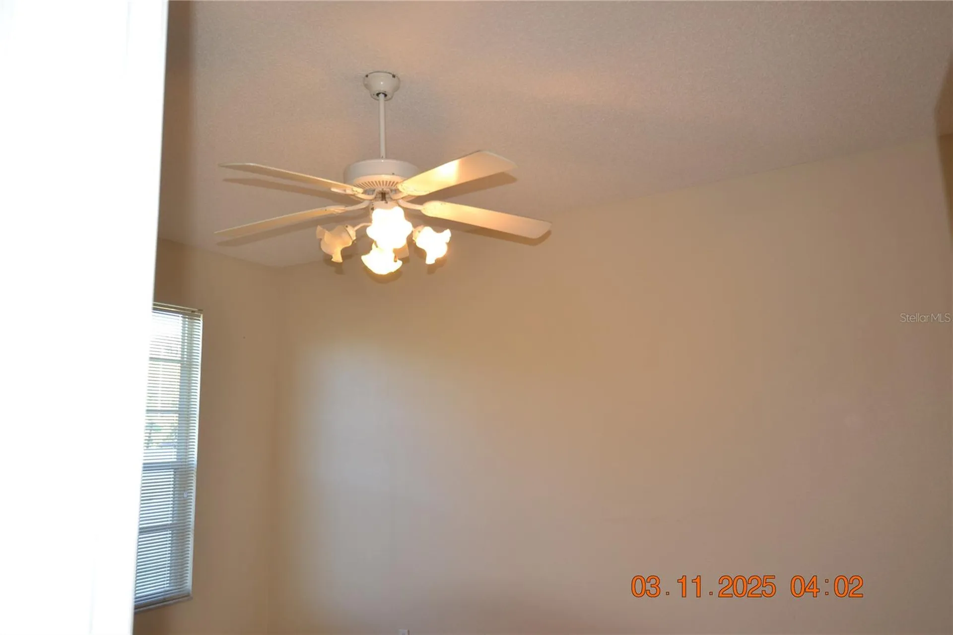 204 Hemingway Drive Oldsmar FL 34677