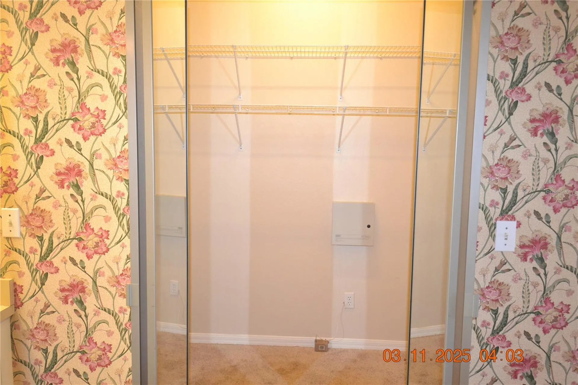 204 Hemingway Drive Oldsmar FL 34677