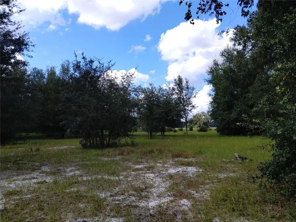 1826 SE 44th Place Bushnell FL 33513