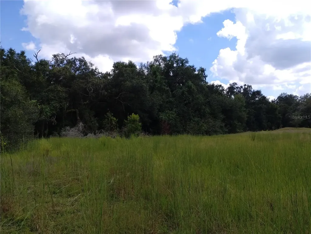 1826 SE 44th Place Bushnell FL 33513