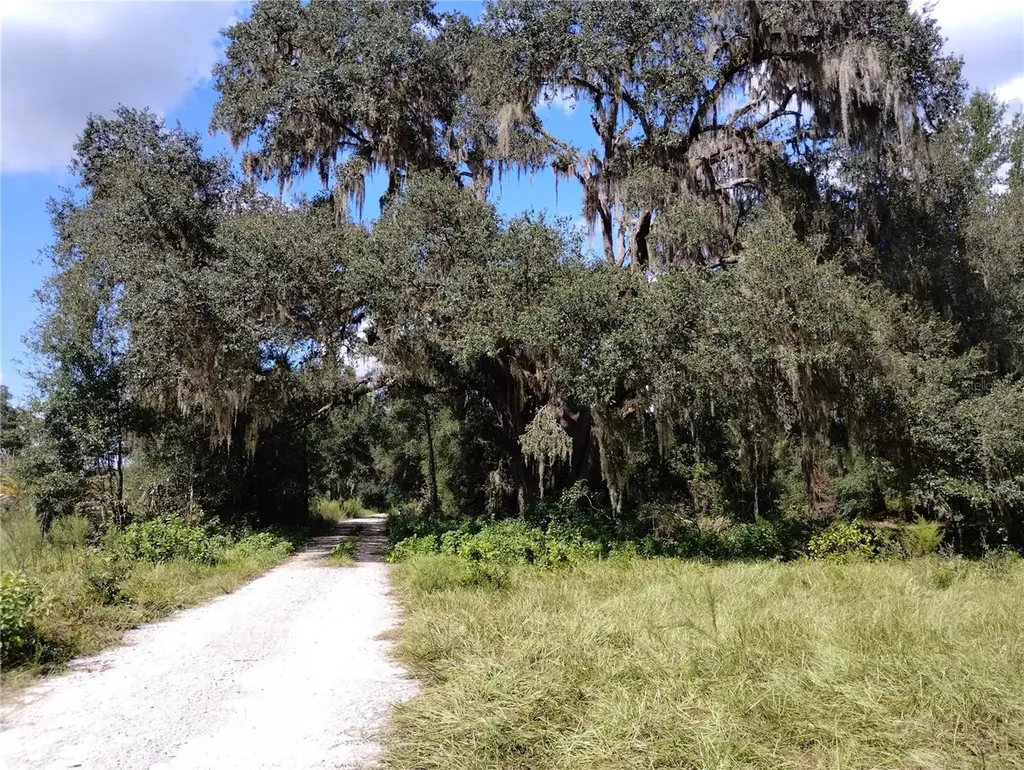 1826 SE 44th Place Bushnell FL 33513