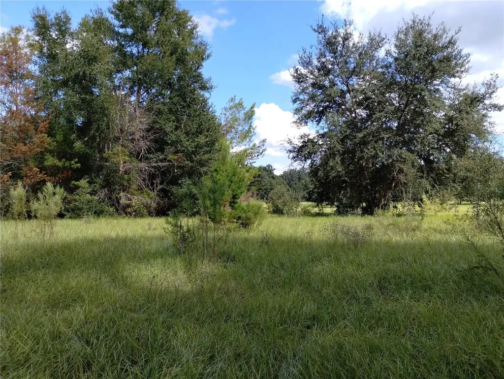 1826 SE 44th Place Bushnell FL 33513
