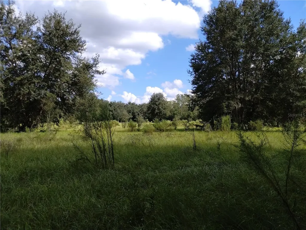 1826 SE 44th Place Bushnell FL 33513