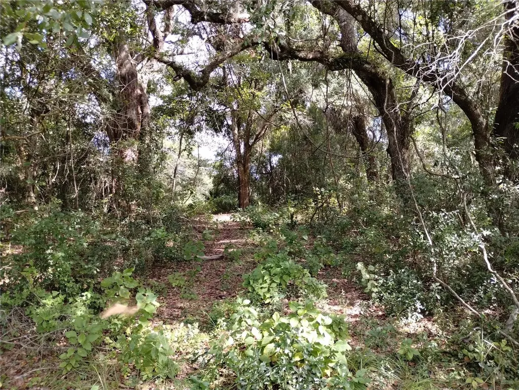 1826 SE 44th Place Bushnell FL 33513