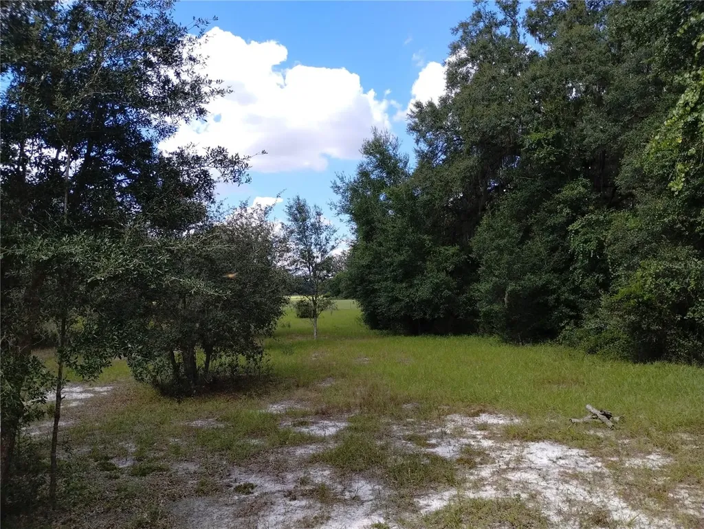 1826 SE 44th Place Bushnell FL 33513