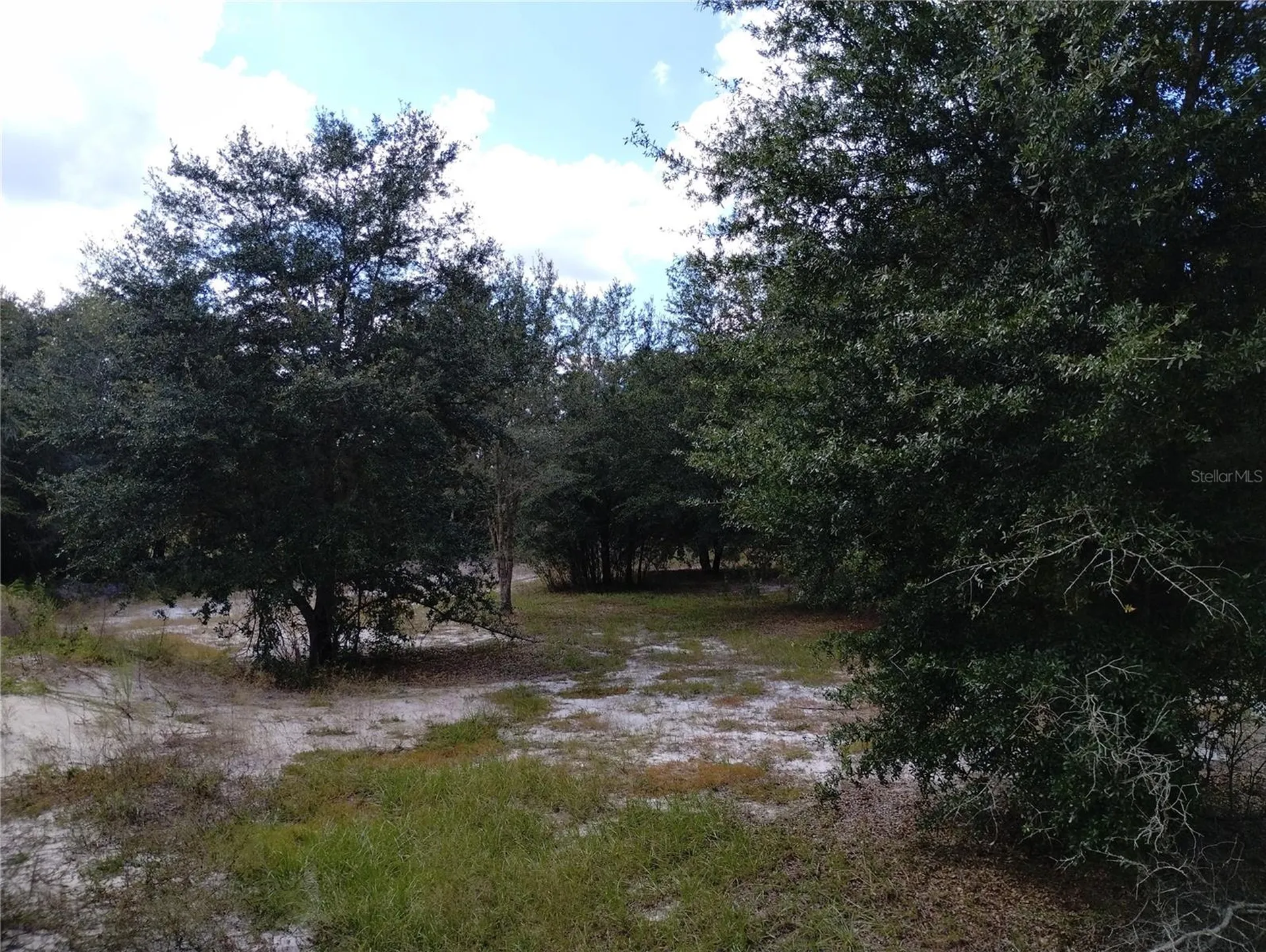 1826 SE 44th Place Bushnell FL 33513