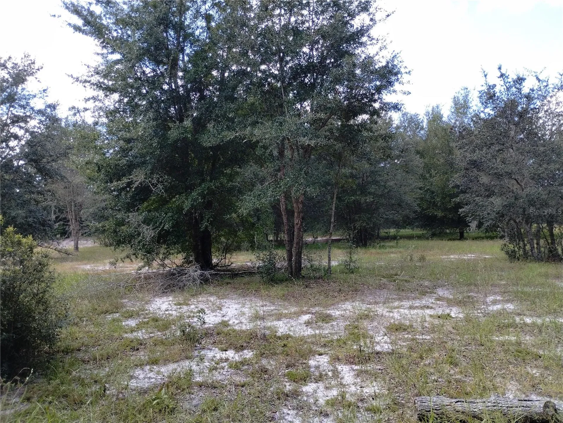 1826 SE 44th Place Bushnell FL 33513