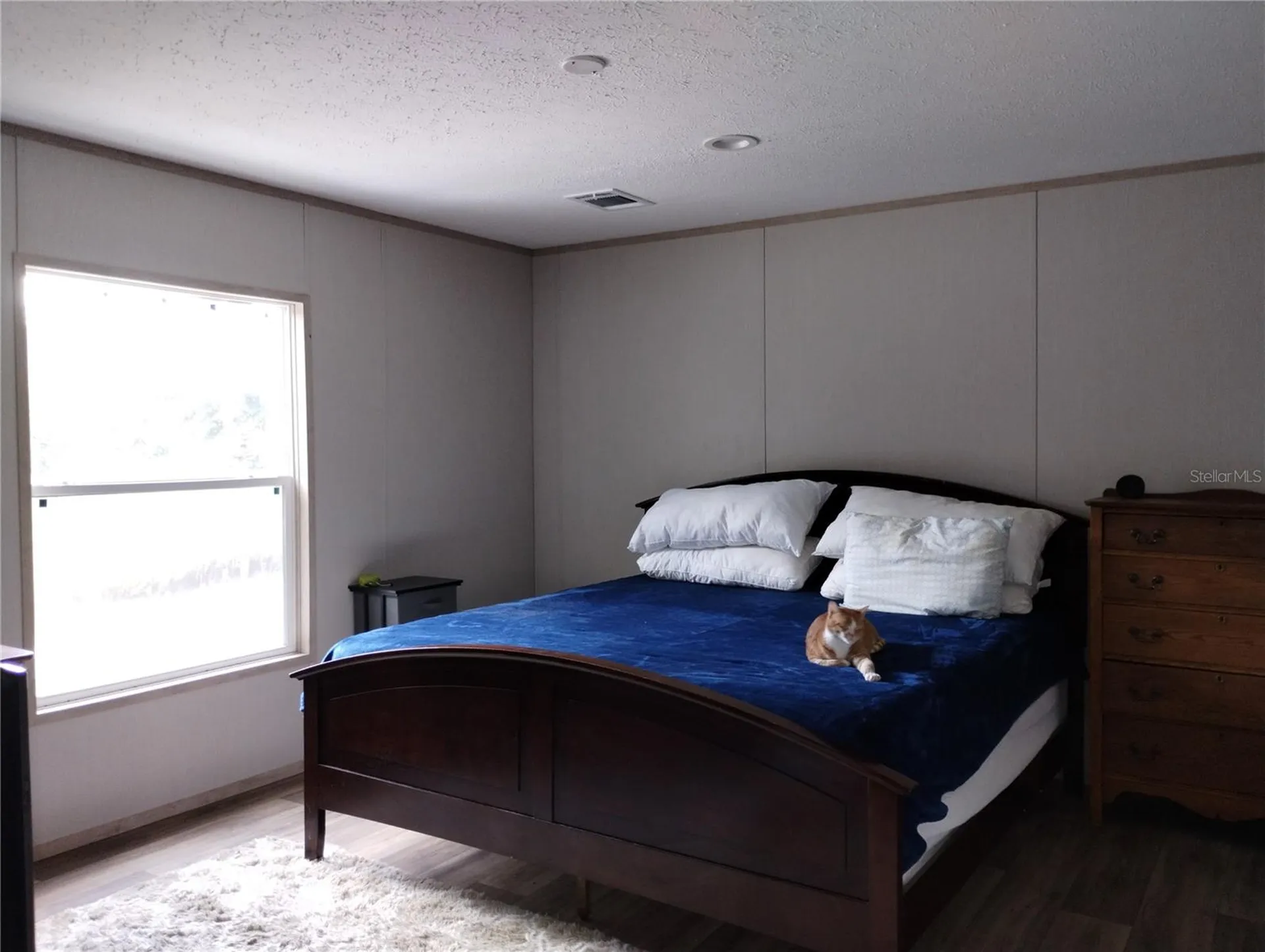 1826 SE 44th Place Bushnell FL 33513