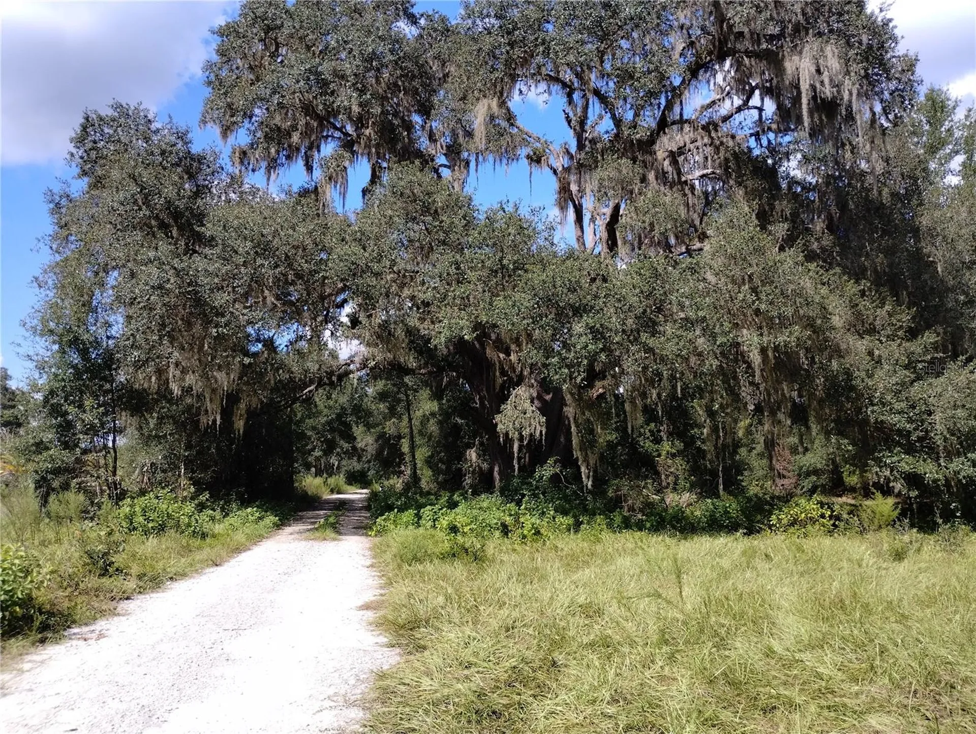 1826 SE 44th Place Bushnell FL 33513