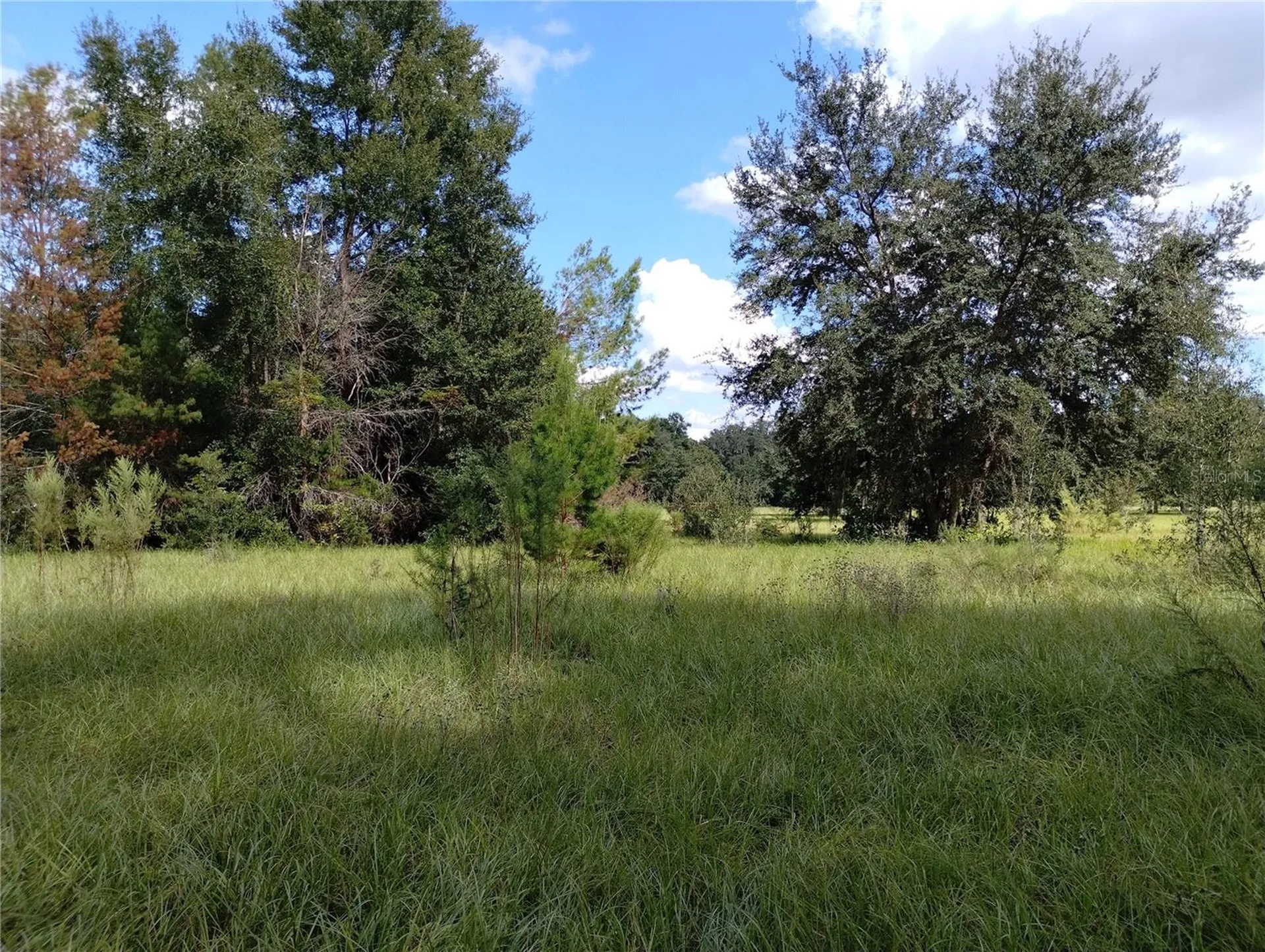 1826 SE 44th Place Bushnell FL 33513