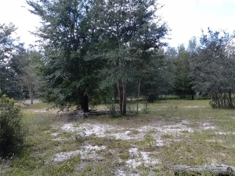 1826 SE 44th Place Bushnell FL 33513