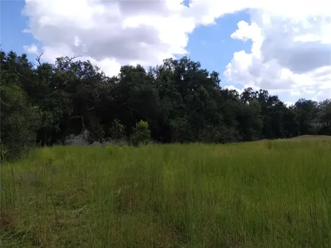 1826 SE 44th Place Bushnell FL 33513