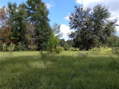 1826 SE 44th Place Bushnell FL 33513
