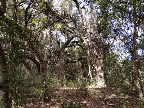 1826 SE 44th Place Bushnell FL 33513