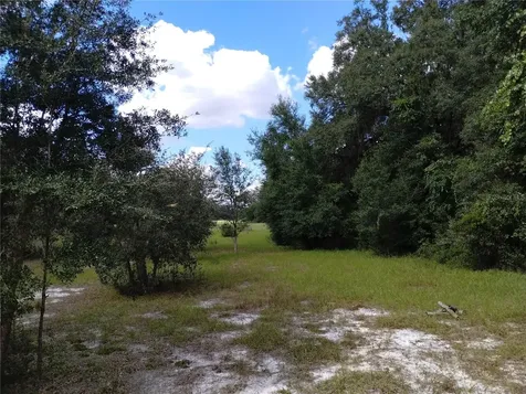 1826 SE 44th Place Bushnell FL 33513