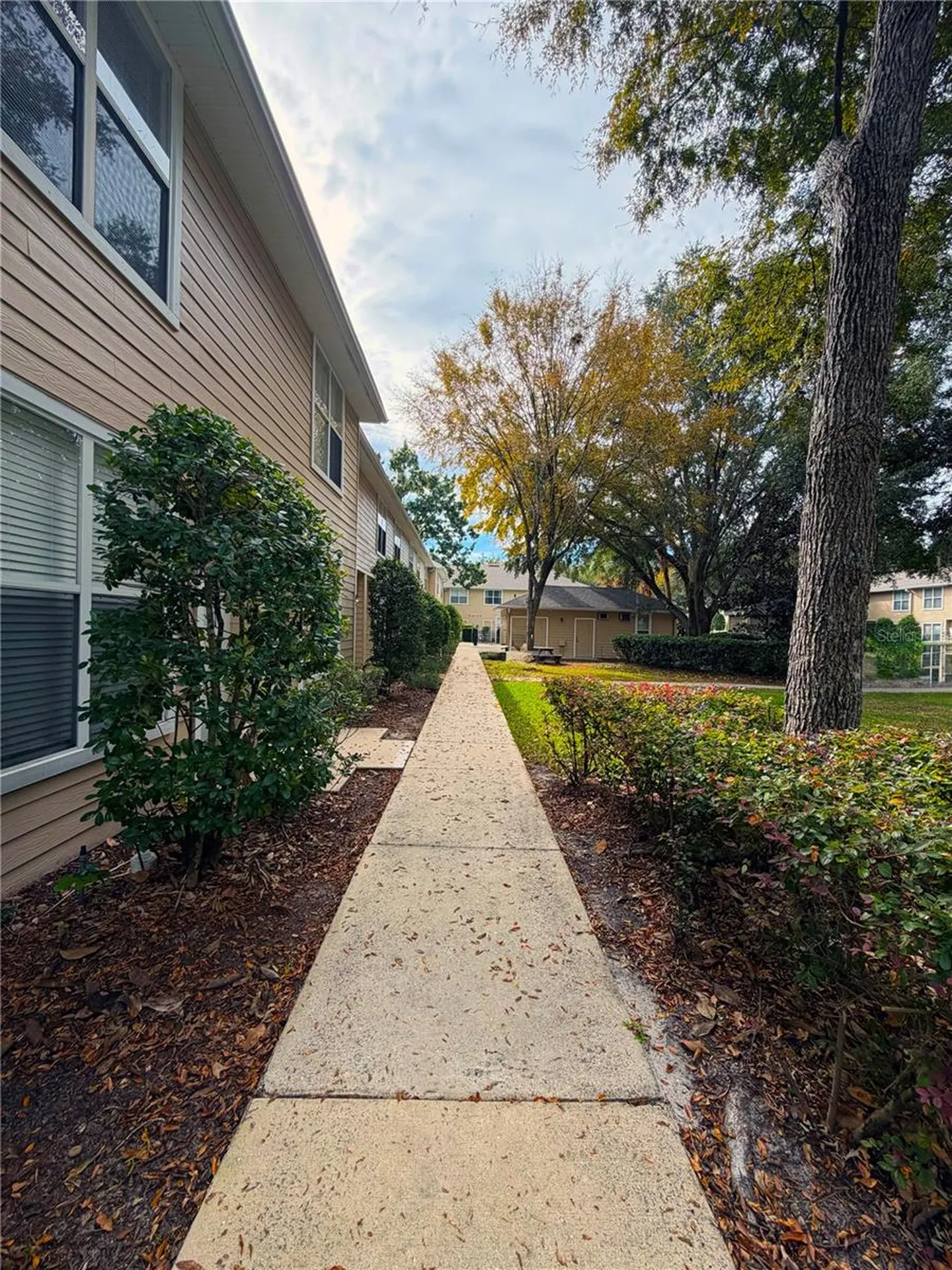 3521 SW 30th Way Gainesville FL 32608