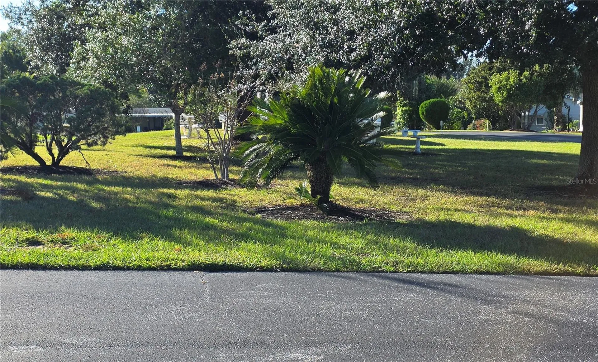 16591 SE 96th Avenue Summerfield FL 34491