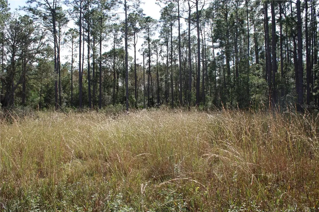 Duboise Drive Clermont FL 34711