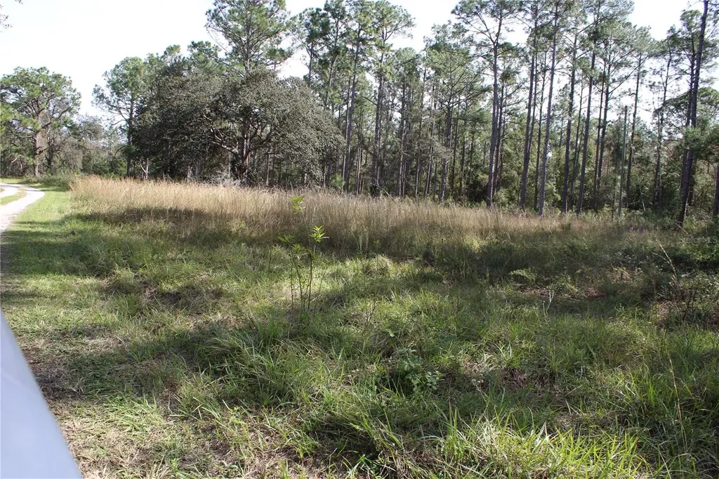 Duboise Drive Clermont FL 34711