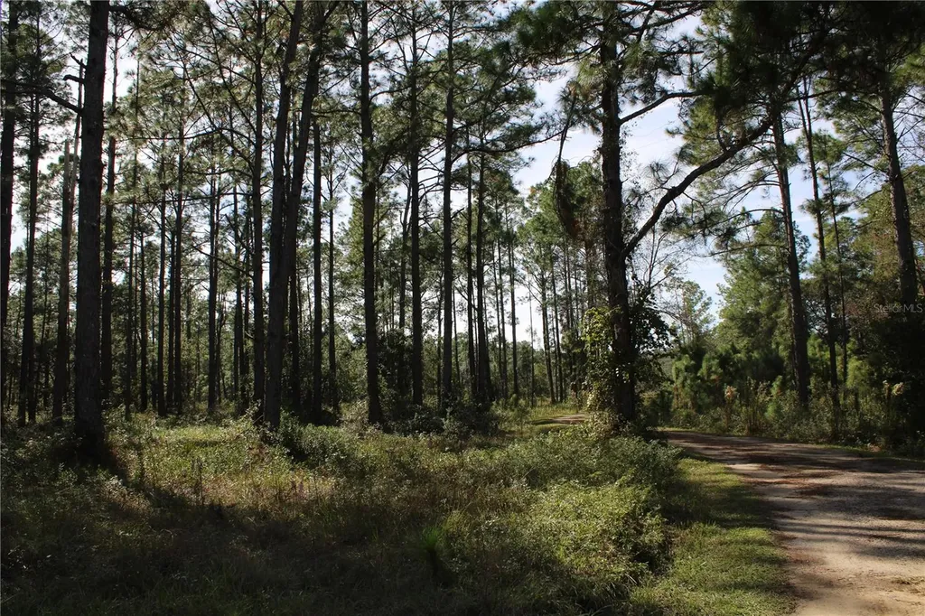 Duboise Drive Clermont FL 34711