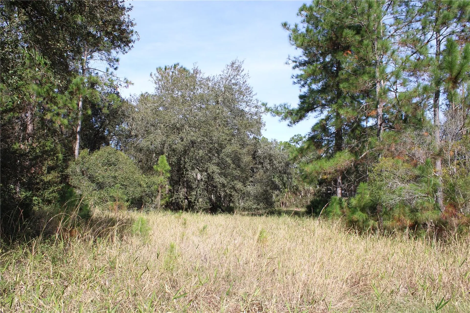Duboise Drive Clermont FL 34711