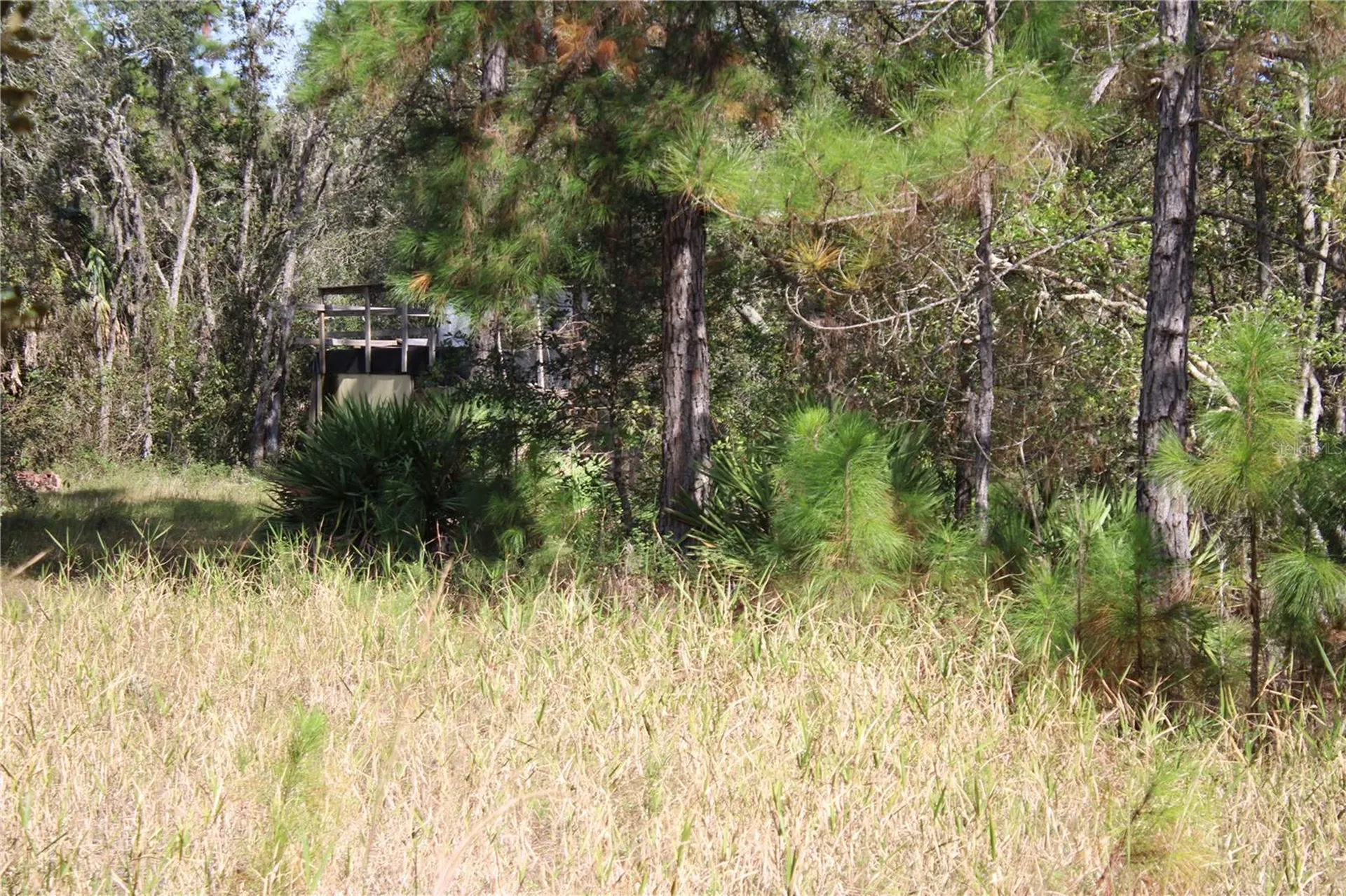 Duboise Drive Clermont FL 34711