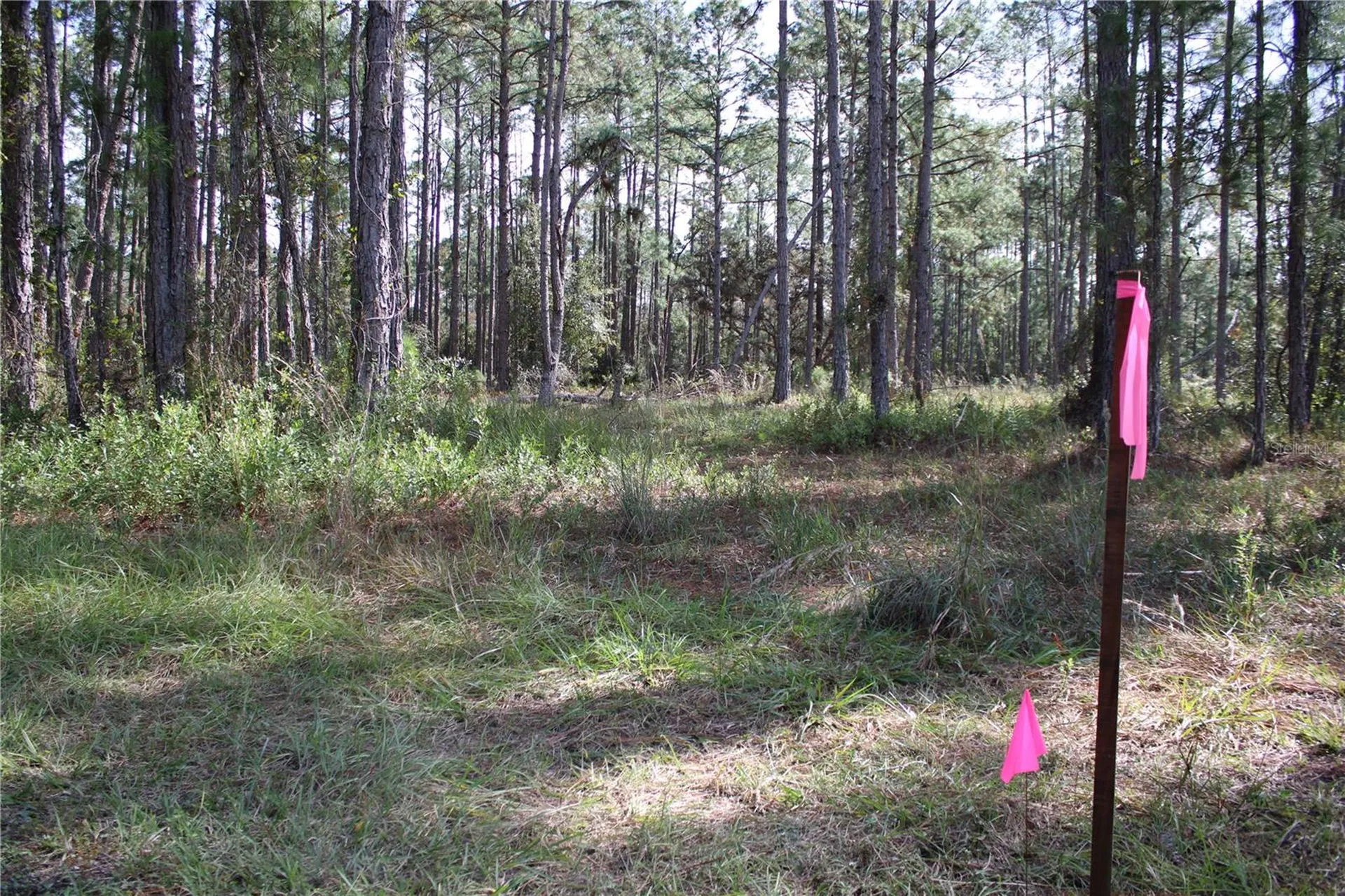 Duboise Drive Clermont FL 34711