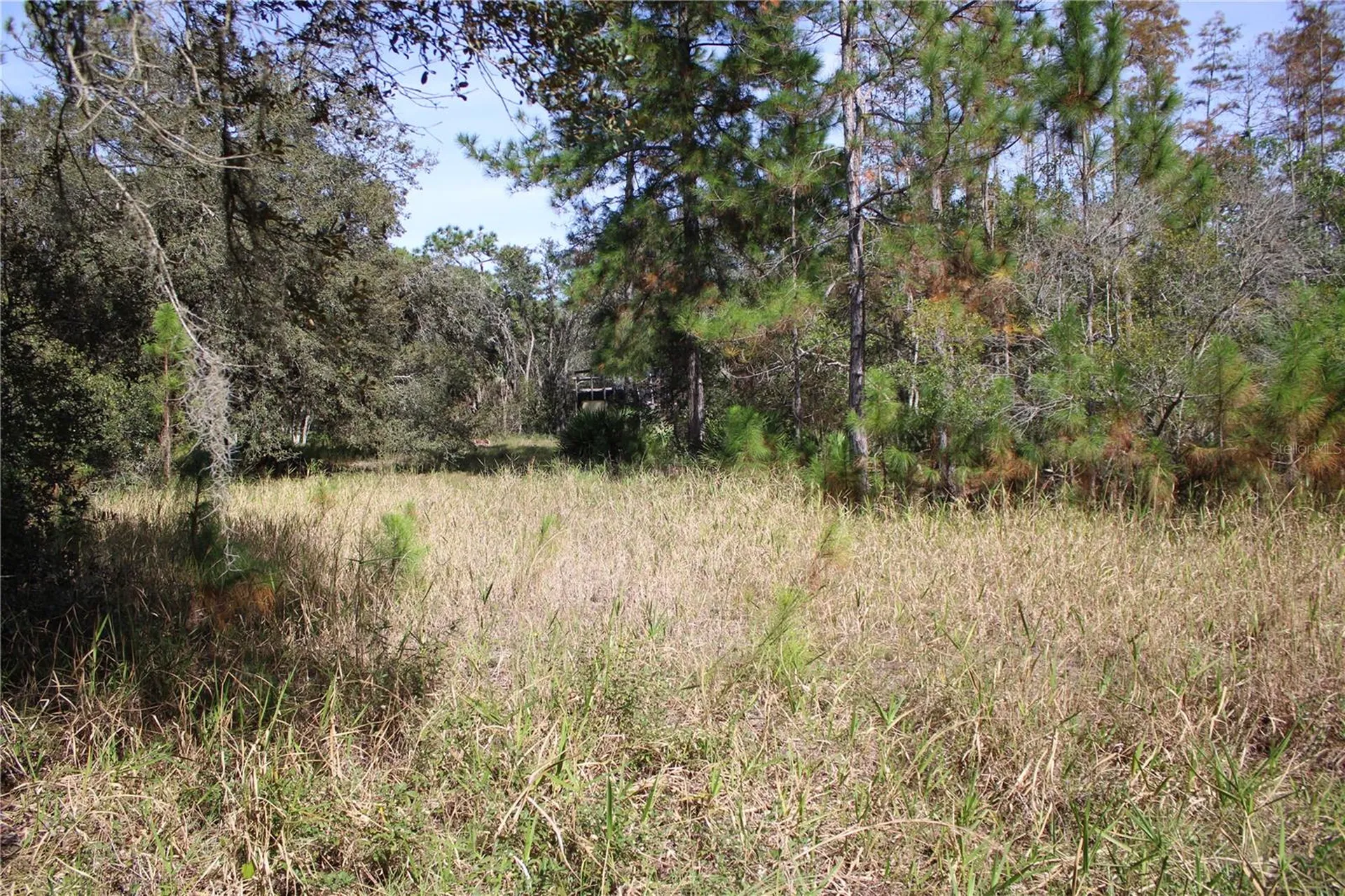 Duboise Drive Clermont FL 34711