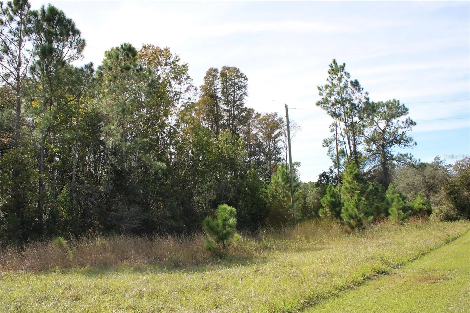 Duboise Drive Clermont FL 34711