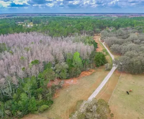 Duboise Drive Clermont FL 34711
