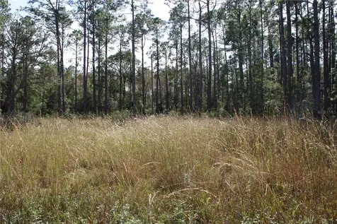 Duboise Drive Clermont FL 34711