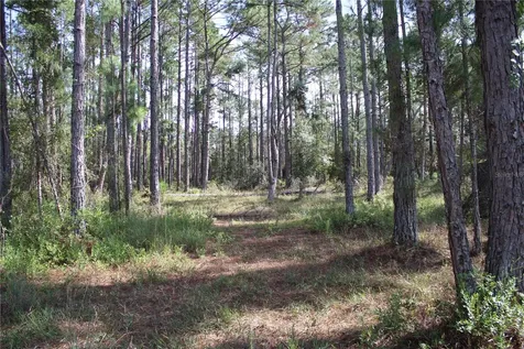 Duboise Drive Clermont FL 34711