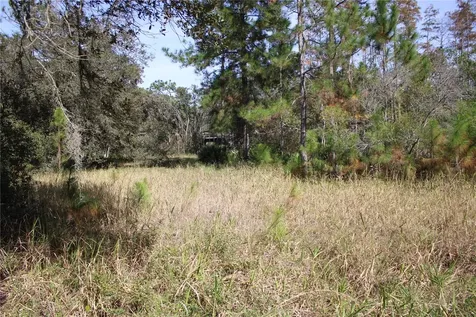 Duboise Drive Clermont FL 34711