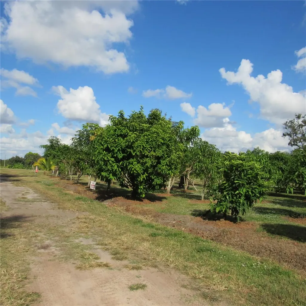 21552 E State Road 64 Bradenton FL 34212