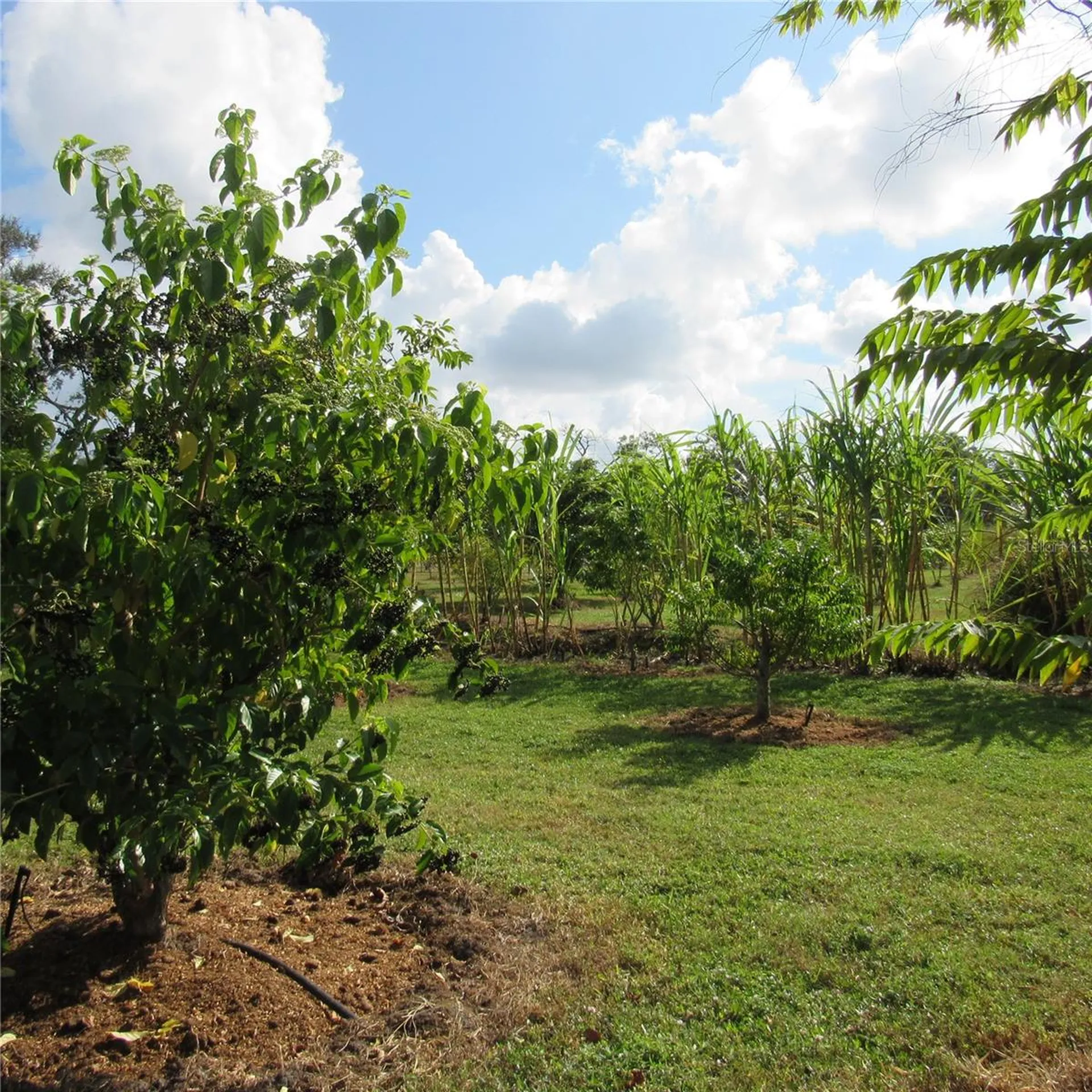 21552 E State Road 64 Bradenton FL 34212