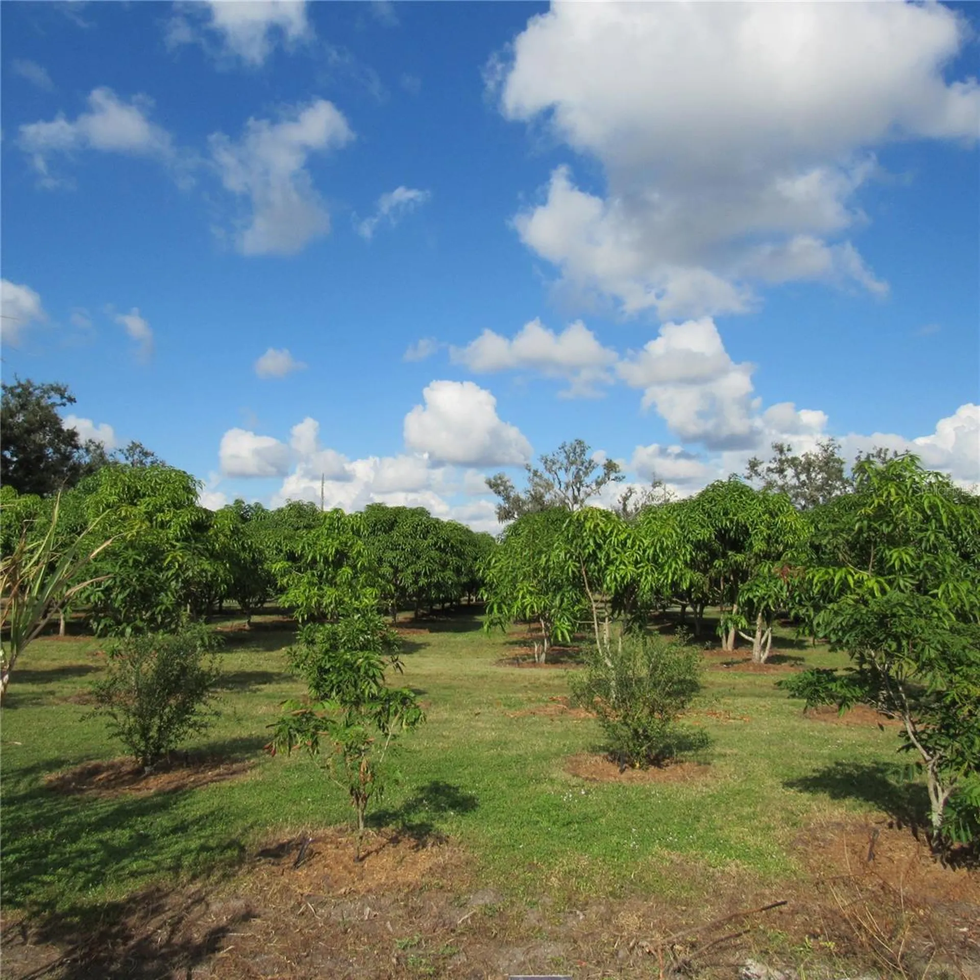 21552 E State Road 64 Bradenton FL 34212