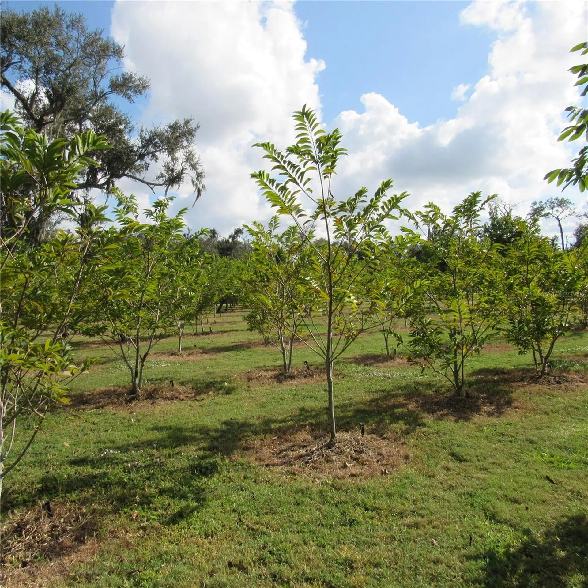 21552 E State Road 64 Bradenton FL 34212
