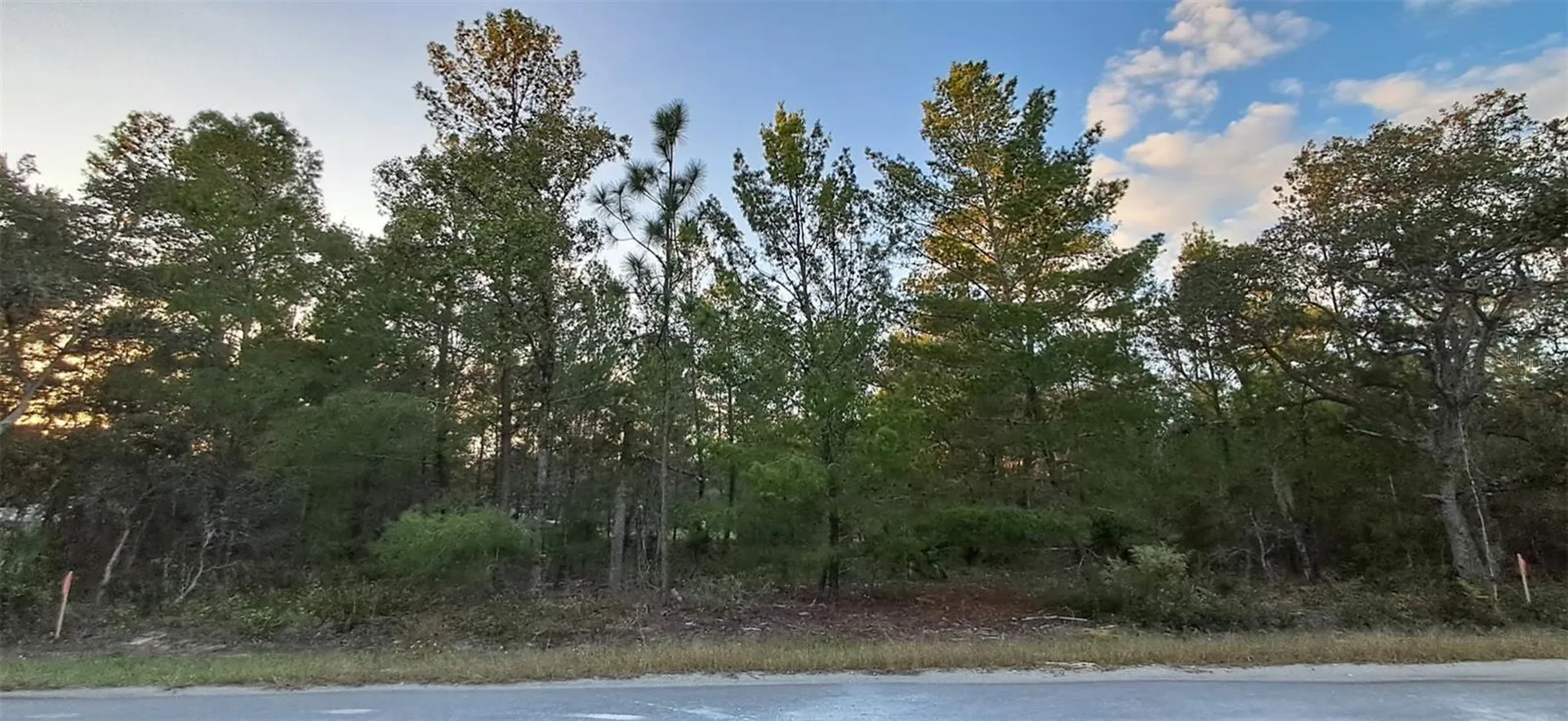 0 Fisher Course Ocklawaha FL 32179