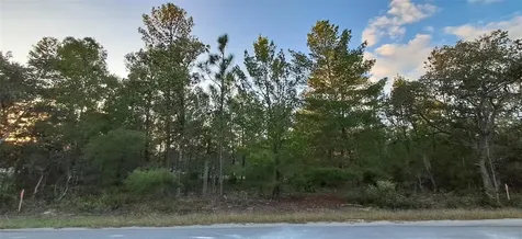 0 Fisher Course Ocklawaha FL 32179