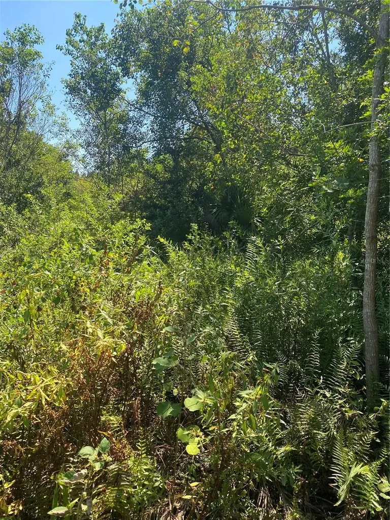 0000 23rd Avenue Road Ocala FL 34473
