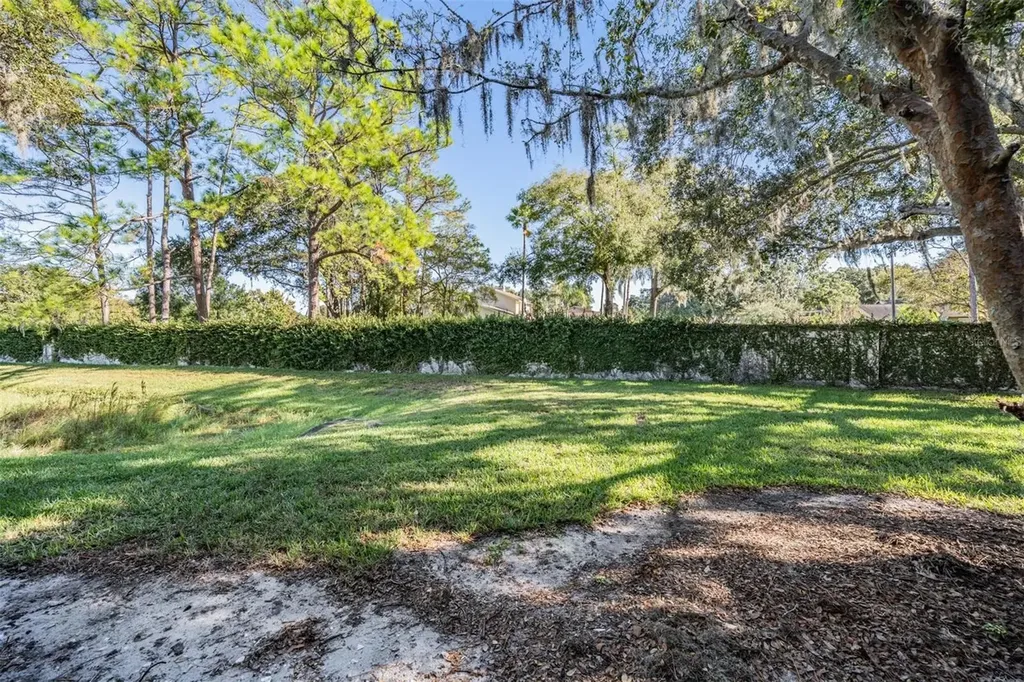 16553 Brigadoon Drive Tampa FL 33618