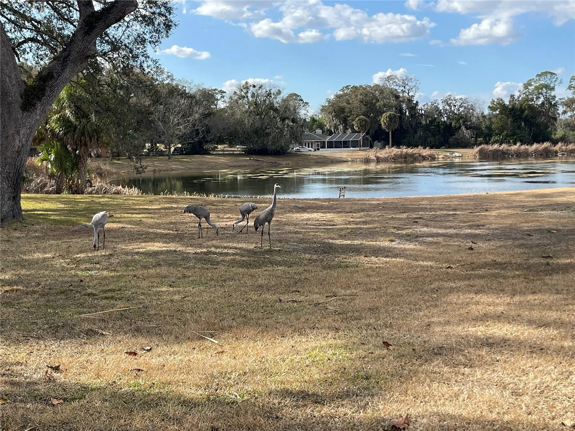 695 Midway Drive Ocala FL 34472