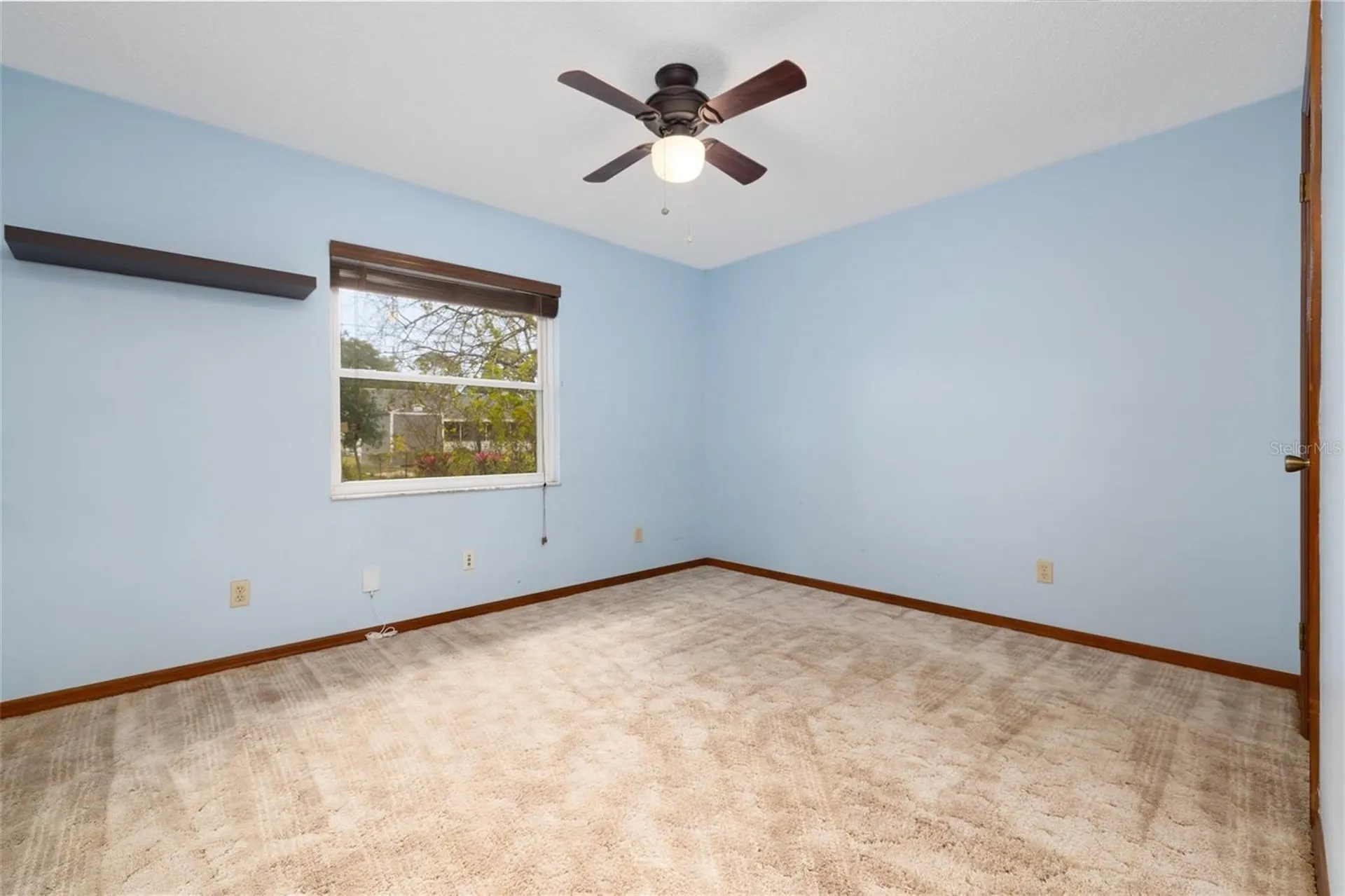 3221 Lime Tree Drive Edgewater FL 32141