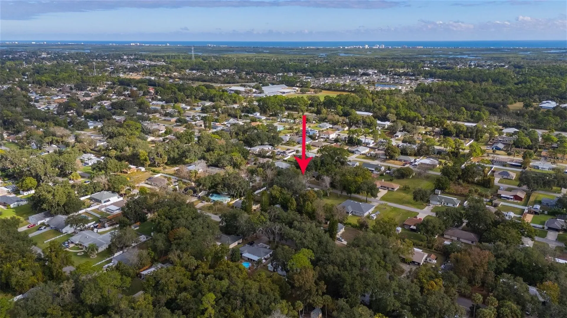 3221 Lime Tree Drive Edgewater FL 32141