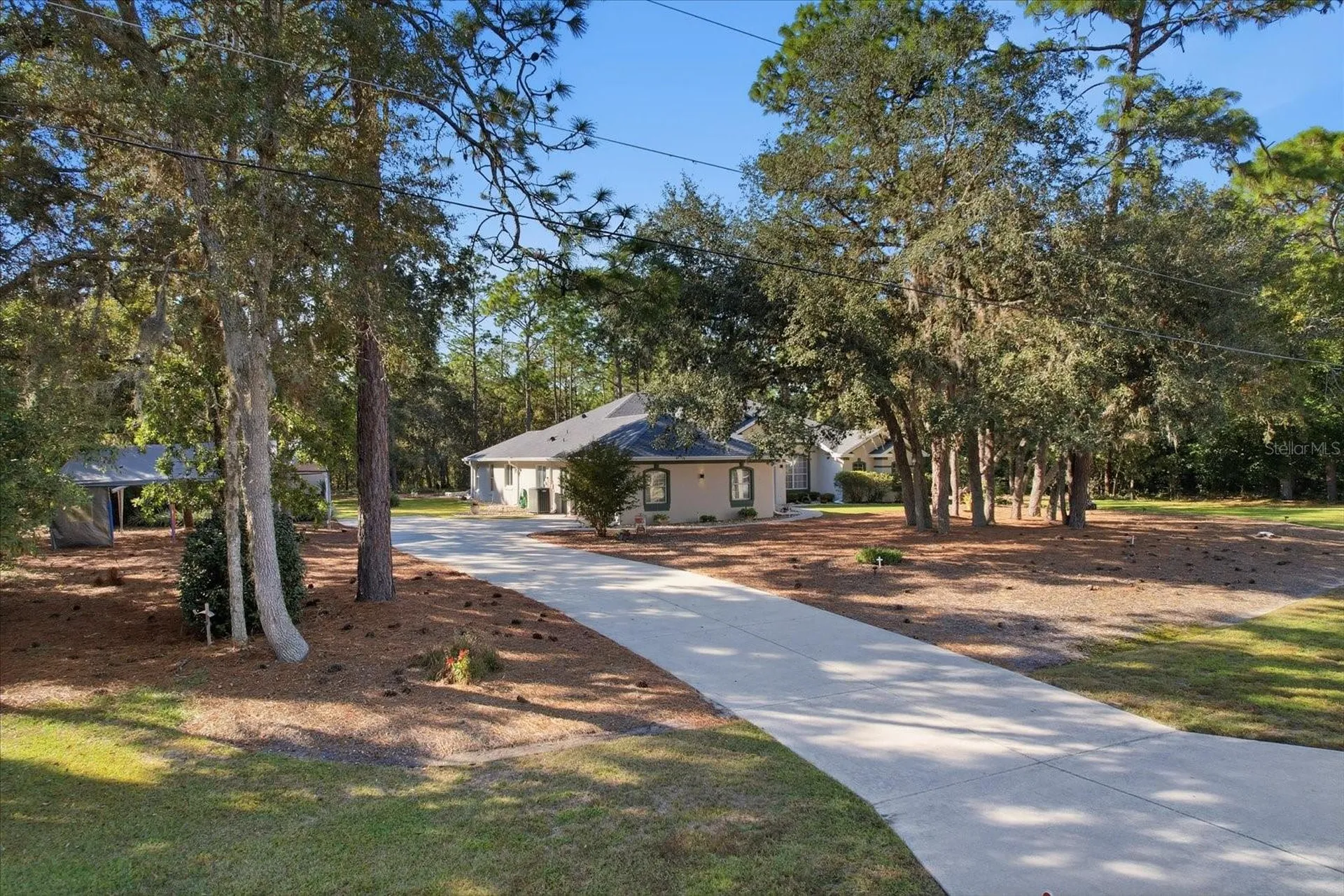 4488 N Capistrano Loop Beverly Hills FL 34465