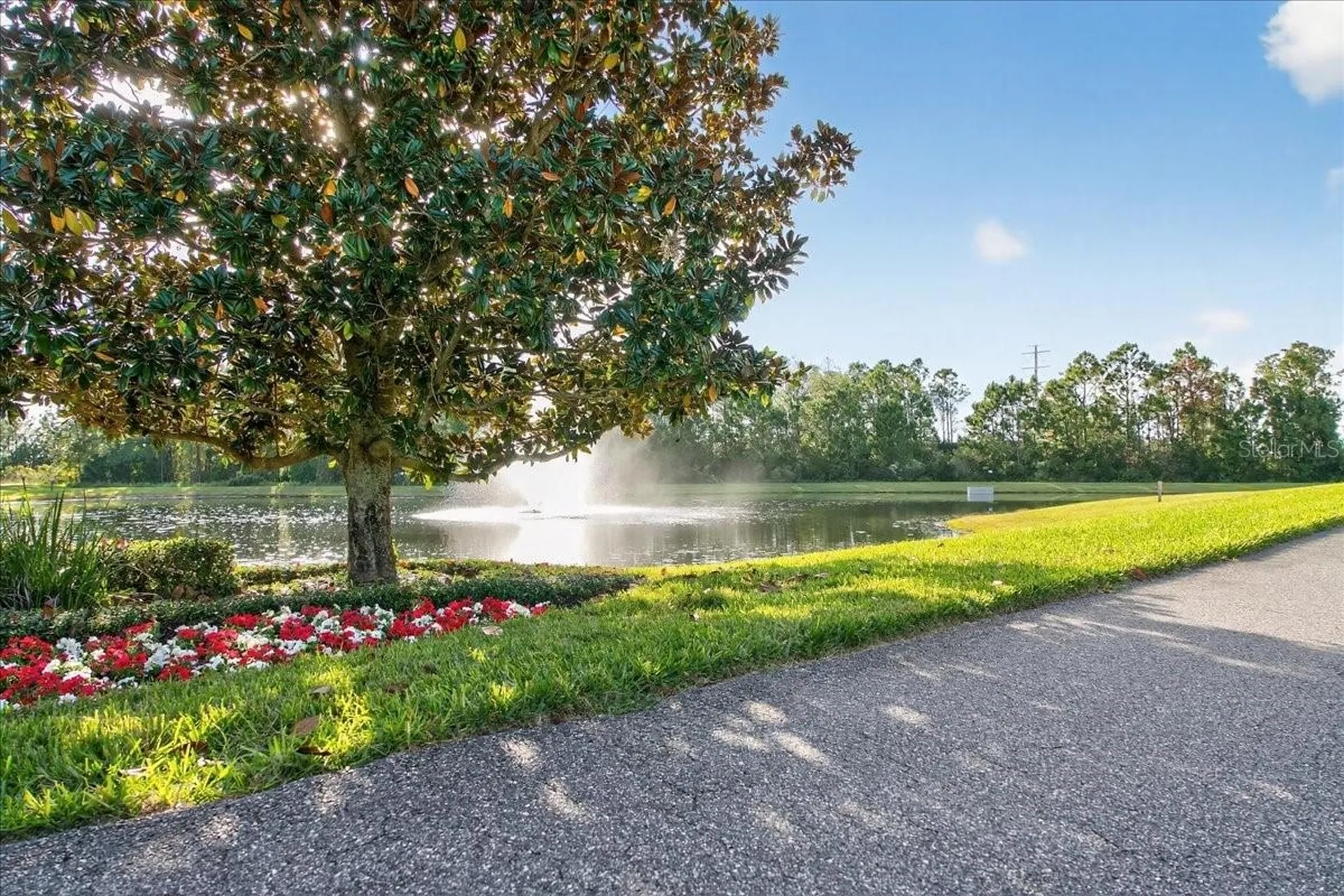 6226 Manuscript Street Winter Garden FL 34787